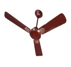 Surya Bliss Ceiling fan